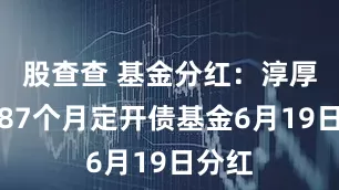 股查查 基金分红:淳厚安心87个月定开债基金6月19日分红