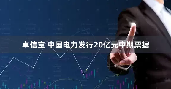 卓信宝 中国电力发行20亿元中期票据