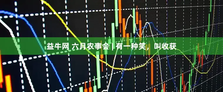 益牛网 六月农事会 | 有一种笑，叫收获