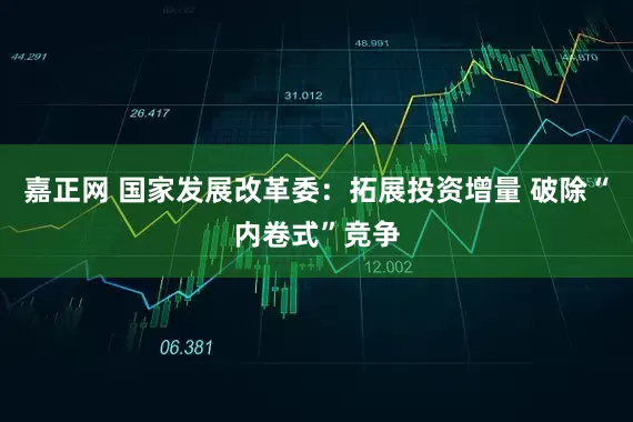 嘉正网 国家发展改革委：拓展投资增量 破除“内卷式”竞争