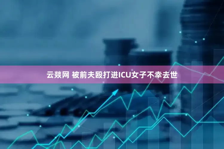 云燚网 被前夫殴打进ICU女子不幸去世