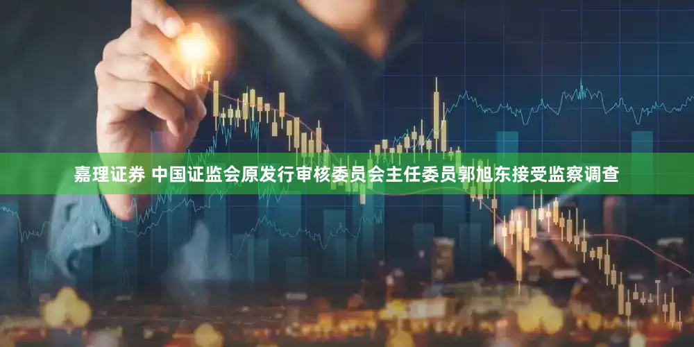 嘉理证券 中国证监会原发行审核委员会主任委员郭旭东接受监察调查